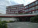 Wissenschaftszentrum Bonn, Grimmling